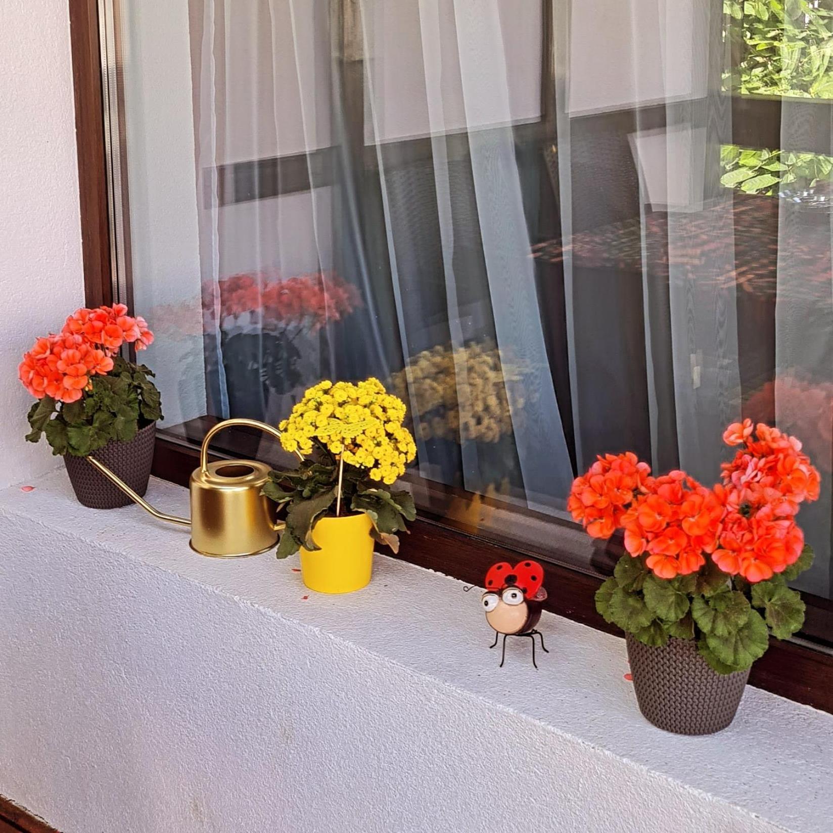 Villa Casa Ama à Buşteni Extérieur photo